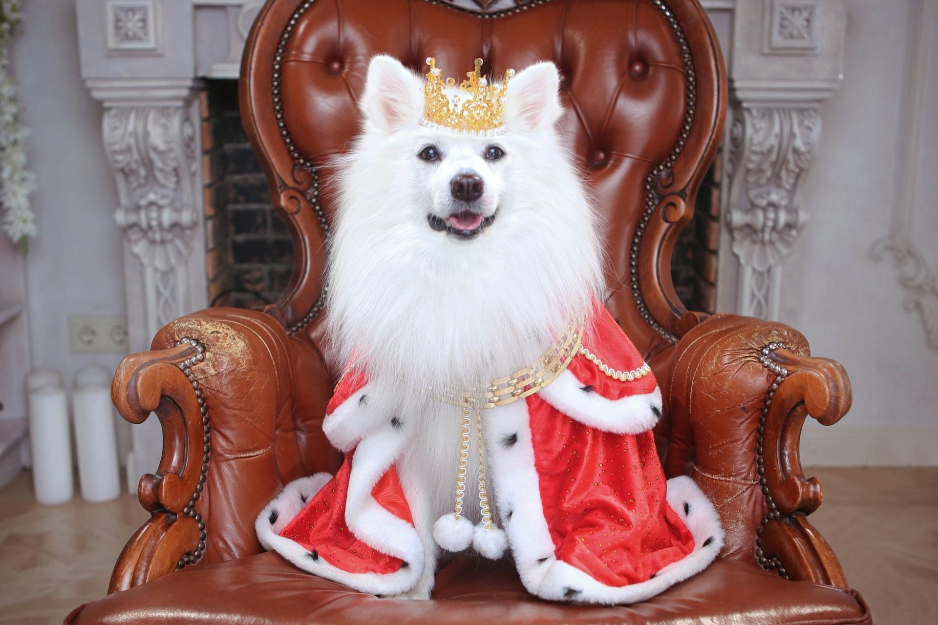 Google’s Gemini 1.5 Pro dethrones GPT-4o